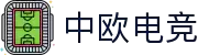 中欧电竞-中欧创造电竞辉煌